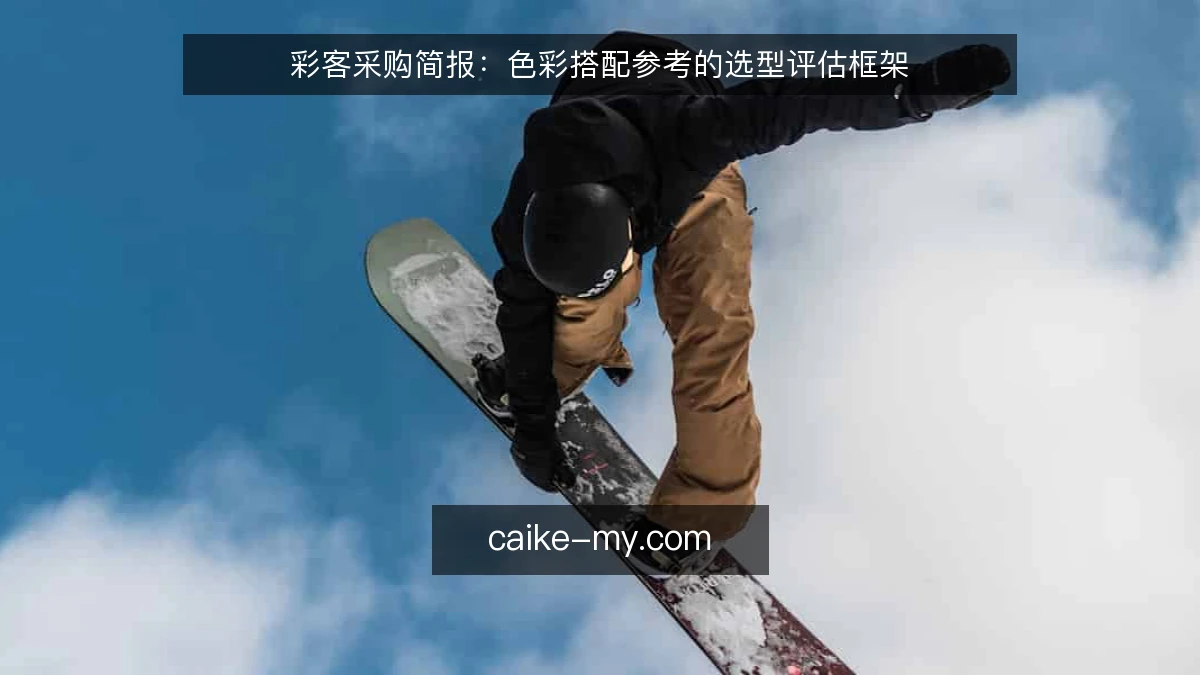 彩客采购简报：色彩搭配参考的选型评估框架