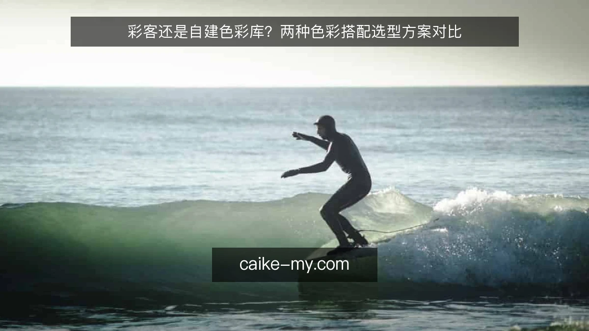 彩客还是自建色彩库？两种色彩搭配选型方案对比
