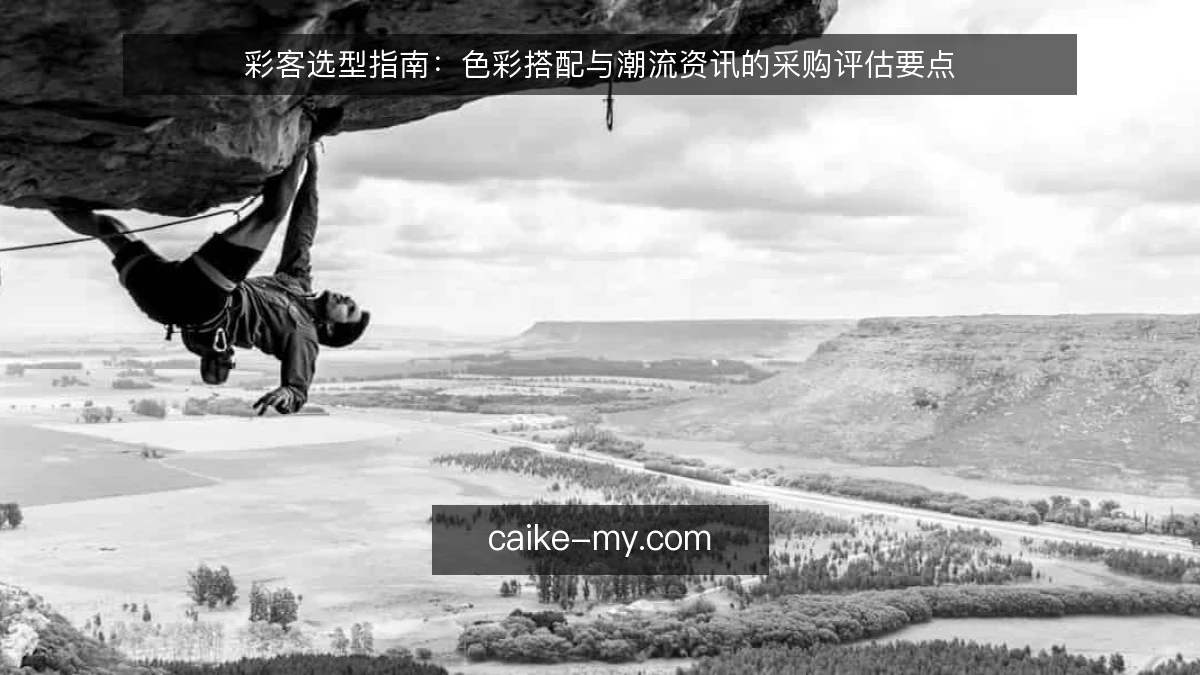 彩客选型指南：色彩搭配与潮流资讯的采购评估要点